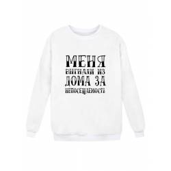 Модный свитшот - толстовка без капюшона и без молнии с принтом "Меня выгнали из дома за непосещаемость"