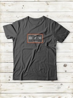 Футболка мужская хлопок оверсайз с принтом унисекс базовая однотонная спортивная с коротким рукавом