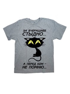 Мужская футболка с прикольным принтом "За вчерашнее стыдно А перед кем - не помню"