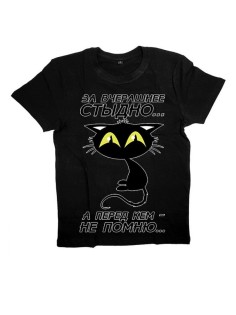 Мужская футболка с прикольным принтом "За вчерашнее стыдно А перед кем - не помню"