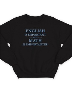 Модный свитшот - толстовка без капюшона с принтом "English is important but math is importanter"