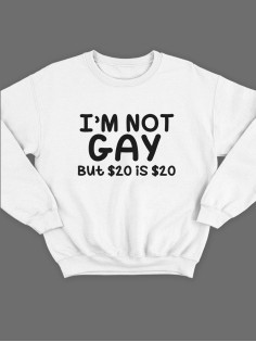 Модный свитшот - толстовка без капюшона с принтом "I'm not gay"