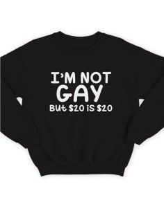 Модный свитшот - толстовка без капюшона с принтом "I'm not gay"