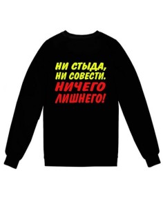 Модный свитшот - толстовка без капюшона с принтом "Ни стыда, ни совести. Ничего лишнего"