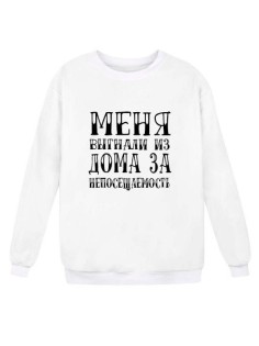 Модный свитшот - толстовка без капюшона с принтом "Меня выгнали из дома за непосещаемость"