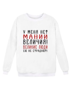 Мужской свитшот с принтом «У меня нет мании величия» / Модная толстовка без капюшона.