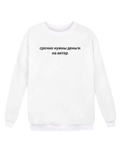 Модный свитшот - толстовка без капюшона с принтом "Срочно нужны деньги на ветер"
