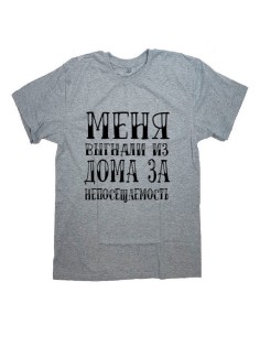 Мужская футболка с прикольным принтом "МЕНЯ ВЫГНАЛИ"