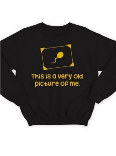 Свитшот женский модный с принтом My old pic / Толстовка для женщин с надписью