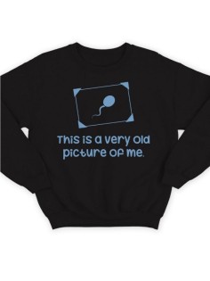 Свитшот женский модный с принтом My old pic / Толстовка для женщин с надписью