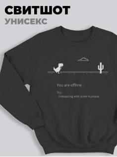 Модный женский свитшот со смешными надписями  / Оригинальный принт на свитшоте You are offline