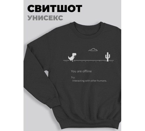 Модный женский свитшот со смешными надписями  / Оригинальный принт на свитшоте You are offline