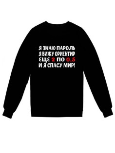 Модный свитшот - толстовка без капюшона и молнии с принтом «Я знаю пароль».