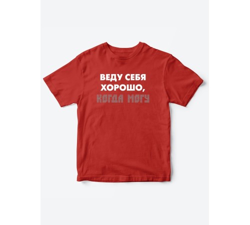 Прикольные футболки для мальчика и для девочки Веду себя хорошо | Клевые детские футболки с принтами