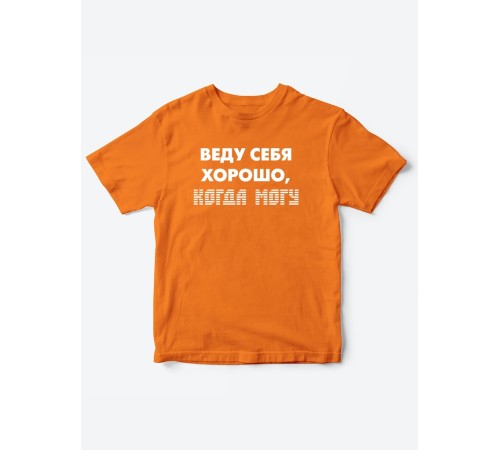 Прикольные футболки для мальчика и для девочки Веду себя хорошо | Клевые детские футболки с принтами