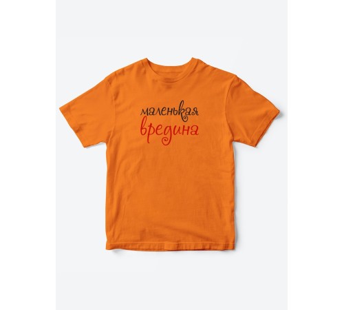 Прикольные футболки для мальчика и для девочки Вредина | Клевые детские футболки с принтами