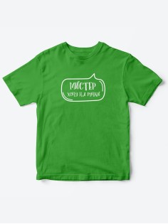 Прикольные футболки для мальчика Мистер На ручки | Клевые детские футболки с необычными принтами