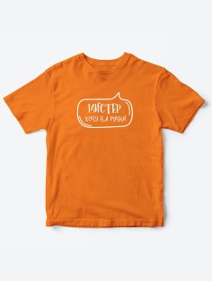 Прикольные футболки для мальчика Мистер На ручки | Клевые детские футболки с необычными принтами