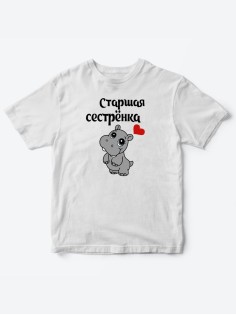 Прикольные футболки для мальчика и для девочки Старшая сестра | Клевые детские футболки с принтами