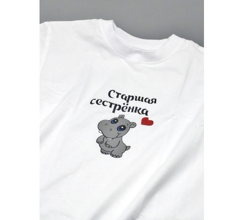 Прикольные футболки для мальчика и для девочки Старшая сестра | Клевые детские футболки с принтами