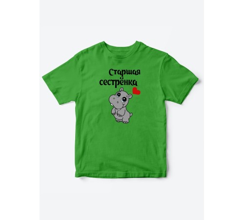 Прикольные футболки для мальчика и для девочки Старшая сестра | Клевые детские футболки с принтами