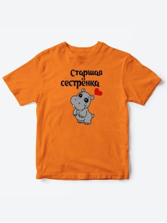 Прикольные футболки для мальчика и для девочки Старшая сестра | Клевые детские футболки с принтами