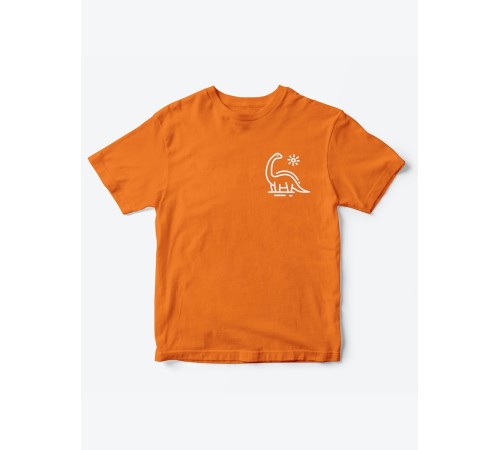 Прикольные футболки для мальчика и для девочки Динозавр | Клевые детские футболки с принтами