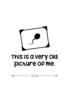 Наклейка на автомобиль, на любую твердую поверхность | Смешная и прикольная наклейка на машину