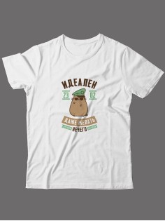 Футболка на 23 февраля с прикольной надписью "Идеален даже желать нечего" в подарок мужчине