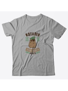 Футболка на 23 февраля с прикольной надписью "Идеален даже желать нечего" в подарок мужчине