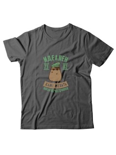 Футболка на 23 февраля с прикольной надписью "Идеален даже желать нечего" в подарок мужчине