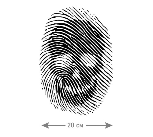 "Толстовки, свитшоты и худи Sharp&Shop" Наклейки на авто надписи на автомобиль