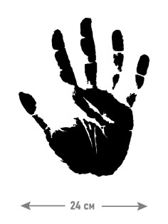 "Толстовки, свитшоты и худи Sharp&Shop" Наклейки на авто надписи на автомобиль