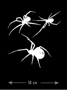 "Толстовки, свитшоты и худи Sharp&Shop" Наклейки на авто надписи на автомобиль