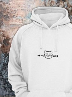 Толстовки оверсайз с принтом с приколом Sharp&Shop Худи с принтом мемом котом надписями толстовка оверсайз