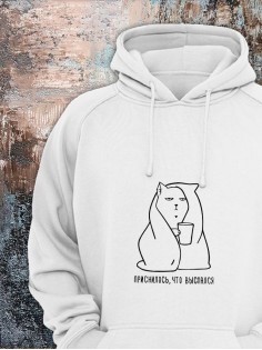 Толстовки оверсайз с принтом с приколом Sharp&Shop Худи с принтом мемом котом надписями толстовка оверсайз