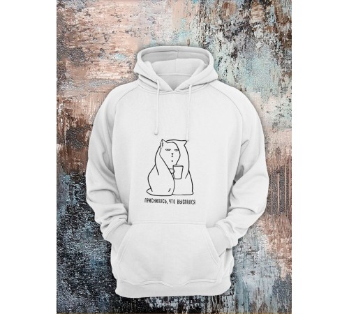 Толстовки оверсайз с принтом с приколом Sharp&Shop Худи с принтом мемом котом надписями толстовка оверсайз