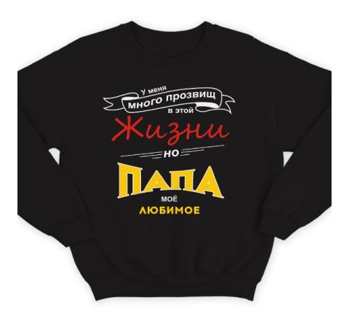Свитшот в подарок для папы с надписью "У меня много прозвищ, но папа моё любимое"