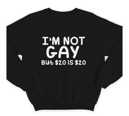 Прикольный свитшот с надписью "I'm not gay..." ("Я не гей")