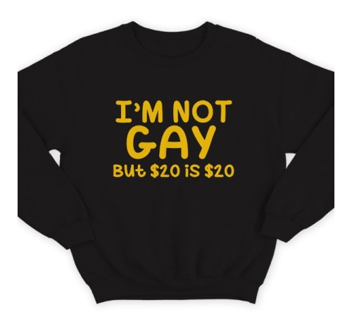 Прикольный свитшот с надписью "I'm not gay..." ("Я не гей")