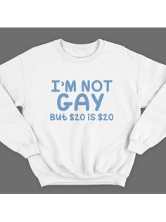 Прикольный свитшот с надписью "I'm not gay..." ("Я не гей")