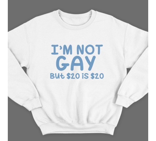 Прикольный свитшот с надписью "I'm not gay..." ("Я не гей")