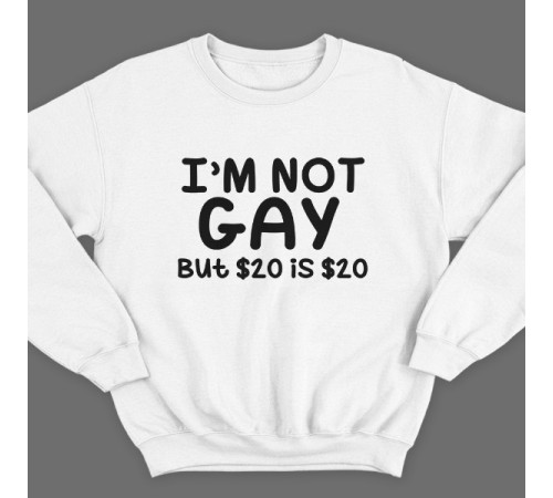 Прикольный свитшот с надписью "I'm not gay..." ("Я не гей")