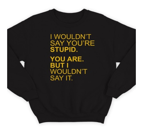 Прикольный свитшот с надписью "I wouldn't say you're stupid. You are. But i wouldn't say it."