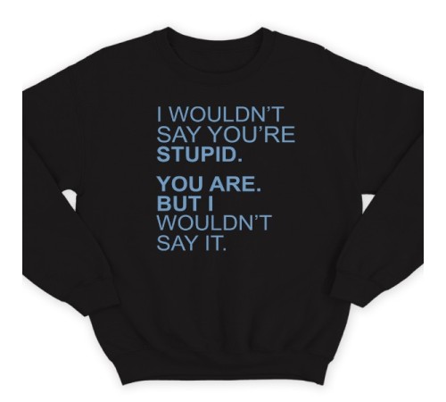 Прикольный свитшот с надписью "I wouldn't say you're stupid. You are. But i wouldn't say it."