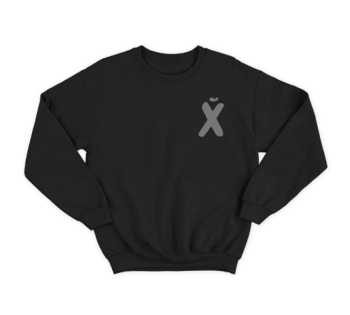 Прикольный свитшот с маленьким принтом "буква Х*Й"