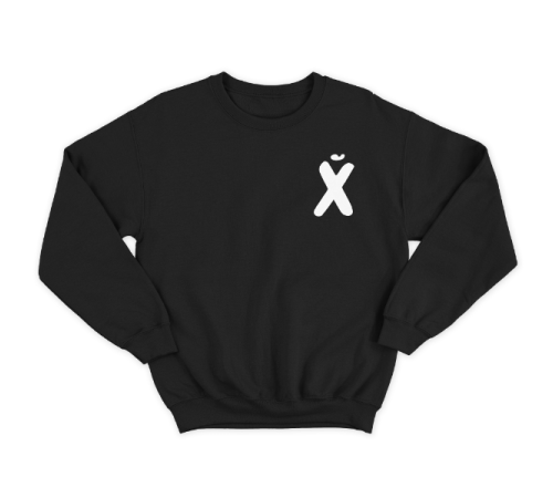 Прикольный свитшот с маленьким принтом "буква Х*Й"