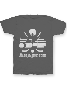 Именная футболка с полосатым шрифтом и хоккейными принадлежностями #66