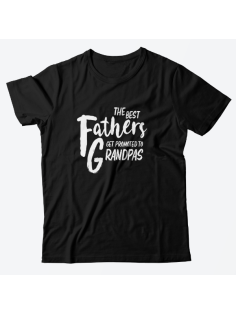 Футболка в подарок для дедушки с надписью "The best fathers get promoted to grandpas"