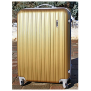 Пластиковый чемодан Ananda APL-833-GOLD Золото
